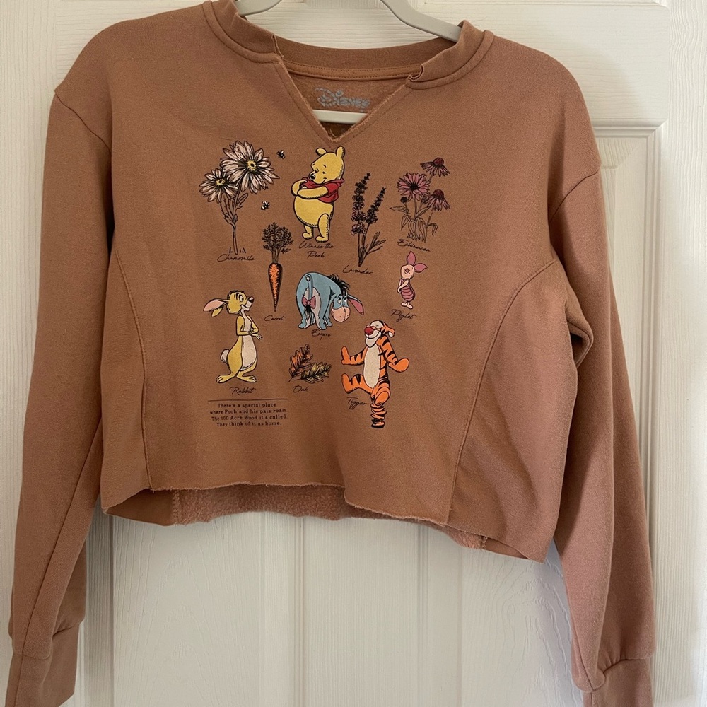 Disney Tan Sweatshirt